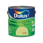Farba do ścian i sufitów Dulux Kolory Świata- Plantacja Kawy 5L